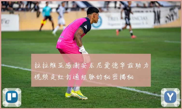 拉拉维亚感谢安东尼爱德华兹助力视频走红打通经脉的秘密揭秘