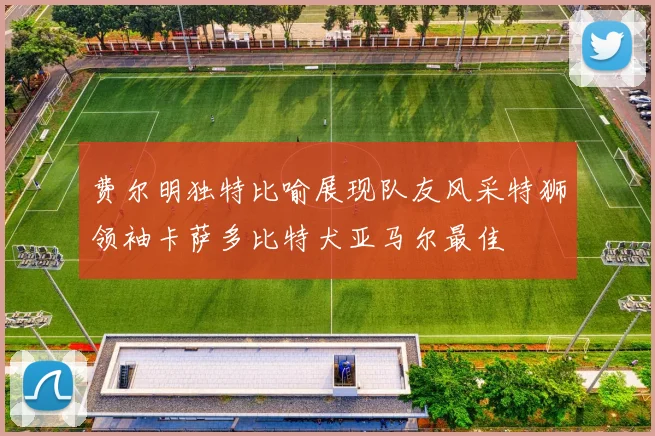 费尔明独特比喻展现队友风采特狮领袖卡萨多比特犬亚马尔最佳
