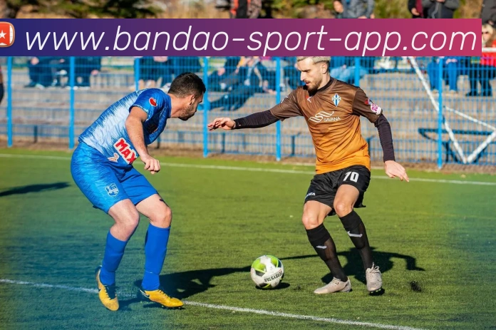 半岛体育APP 高清赛事图